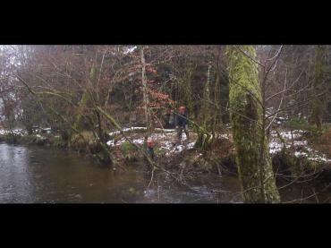 Entretien & restauration de cours d'eau