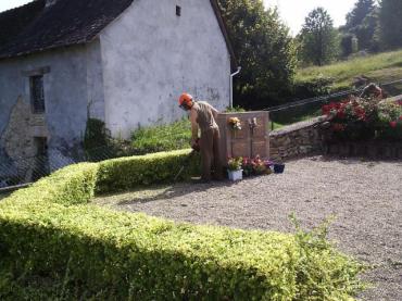 Tonte - taille - débroussaillage